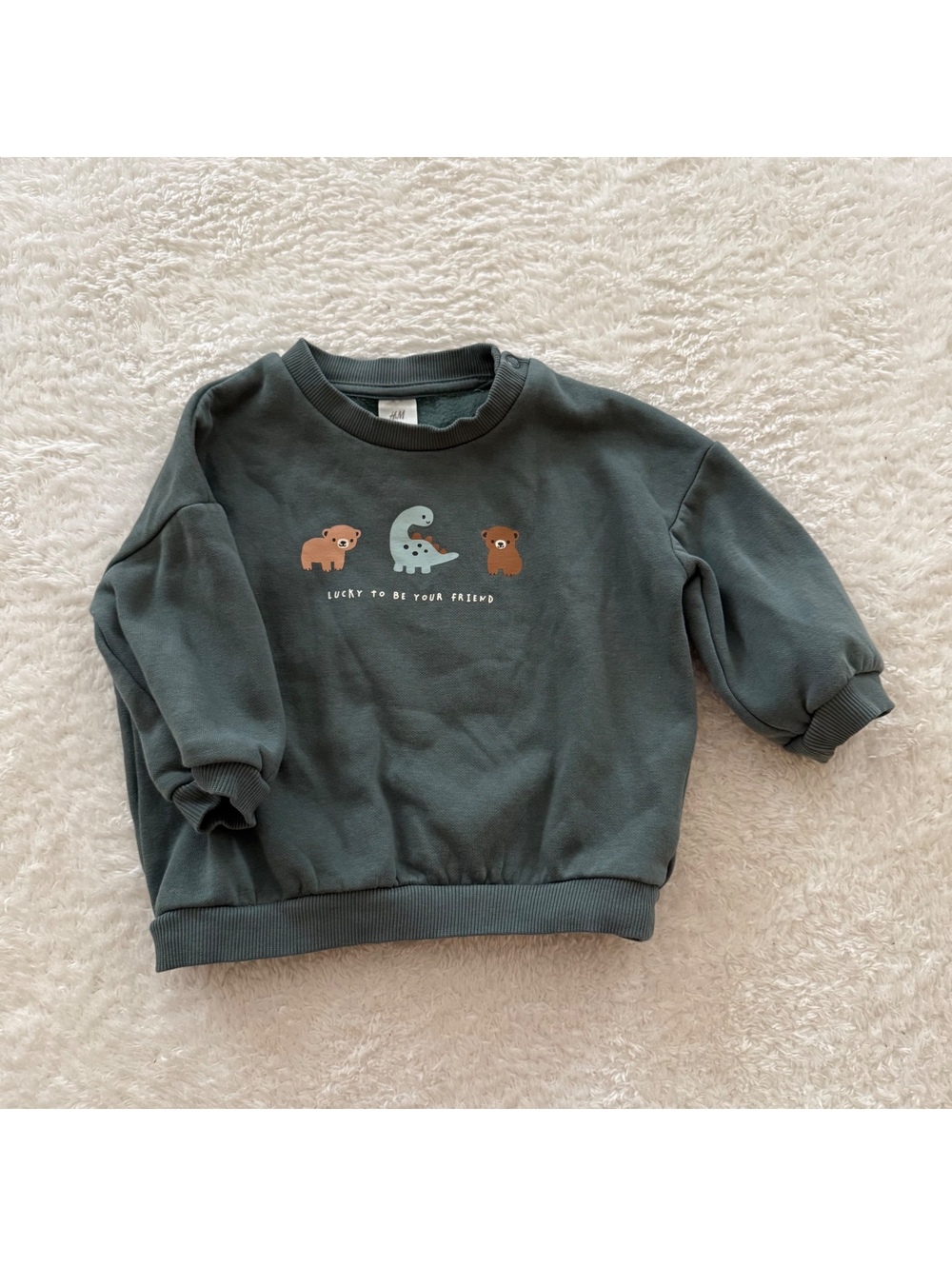 9m H&M Animal Friends Sweatshirt